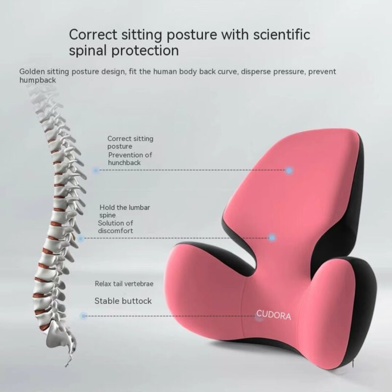 Lumbar Support Pillow for Home, Driving and Office - Image 5