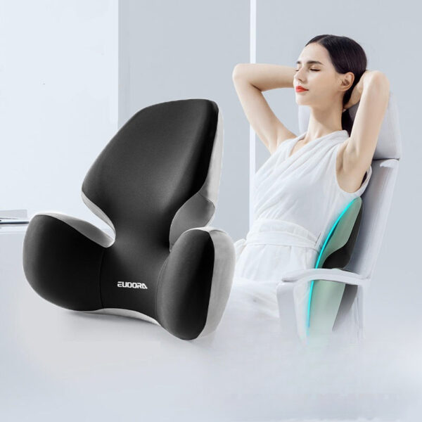 Lumbar Support Pillow for Home, Driving and Office